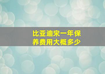 比亚迪宋一年保养费用大概多少