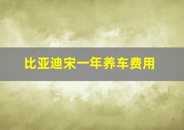 比亚迪宋一年养车费用