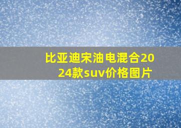 比亚迪宋油电混合2024款suv价格图片