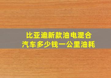 比亚迪新款油电混合汽车多少钱一公里油耗