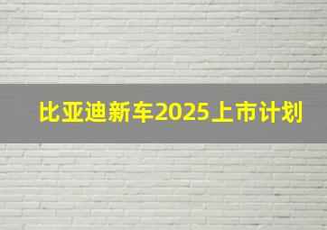 比亚迪新车2025上市计划