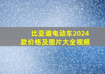 比亚迪电动车2024款价格及图片大全视频