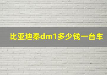 比亚迪秦dm1多少钱一台车