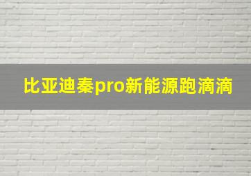 比亚迪秦pro新能源跑滴滴