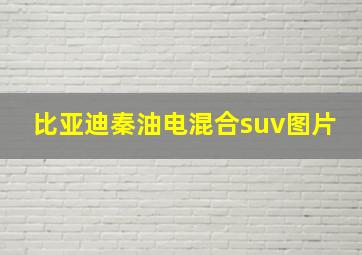 比亚迪秦油电混合suv图片