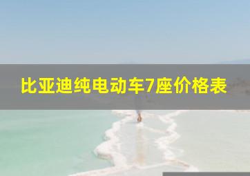 比亚迪纯电动车7座价格表