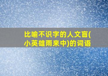 比喻不识字的人文盲(小英雄雨来中)的词语