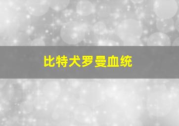 比特犬罗曼血统