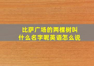 比萨广场的两棵树叫什么名字呢英语怎么说