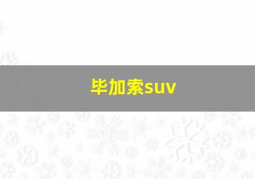 毕加索suv