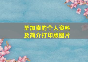 毕加索的个人资料及简介打印版图片