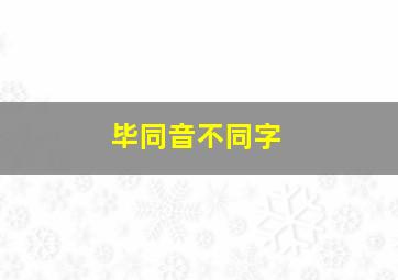 毕同音不同字