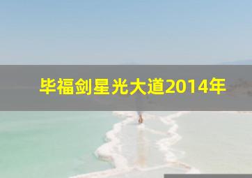 毕福剑星光大道2014年