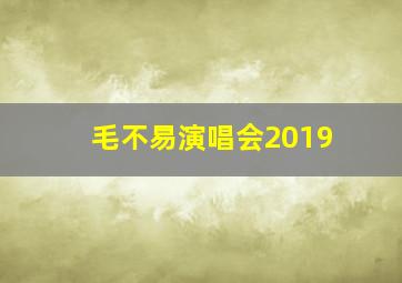 毛不易演唱会2019