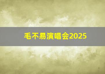 毛不易演唱会2025