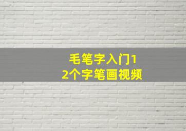 毛笔字入门12个字笔画视频