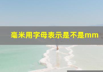 毫米用字母表示是不是mm