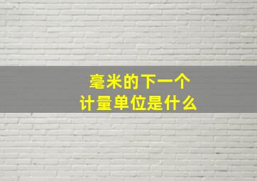 毫米的下一个计量单位是什么