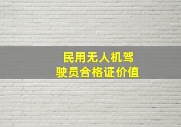 民用无人机驾驶员合格证价值