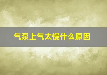 气泵上气太慢什么原因