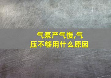 气泵产气慢,气压不够用什么原因