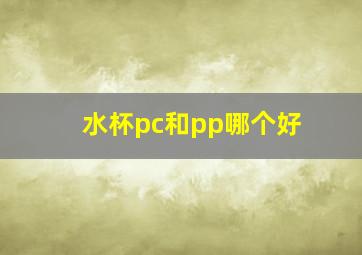 水杯pc和pp哪个好