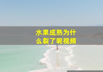 水果成熟为什么裂了呢视频