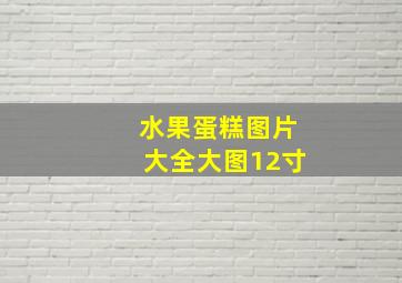 水果蛋糕图片大全大图12寸