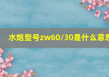 水炮型号zw60/30是什么意思