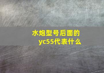 水炮型号后面的yc55代表什么