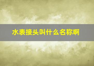 水表接头叫什么名称啊