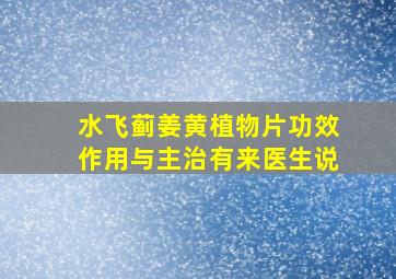 水飞蓟姜黄植物片功效作用与主治有来医生说