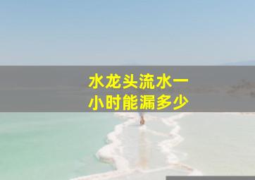 水龙头流水一小时能漏多少