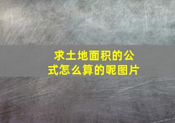 求土地面积的公式怎么算的呢图片