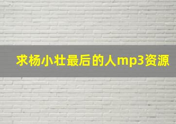 求杨小壮最后的人mp3资源