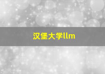 汉堡大学llm