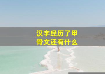 汉字经历了甲骨文还有什么