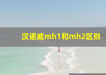 汉诺威mh1和mh2区别