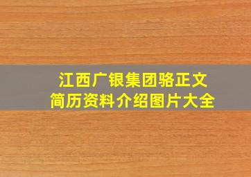 江西广银集团骆正文简历资料介绍图片大全