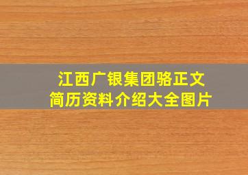 江西广银集团骆正文简历资料介绍大全图片