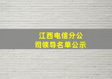 江西电信分公司领导名单公示