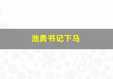 池勇书记下马