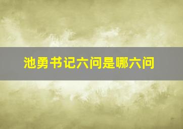 池勇书记六问是哪六问