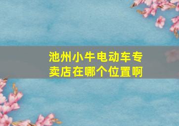 池州小牛电动车专卖店在哪个位置啊