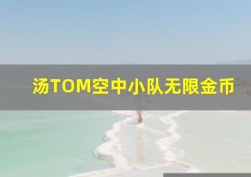 汤TOM空中小队无限金币