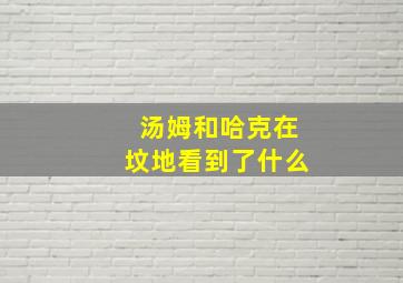 汤姆和哈克在坟地看到了什么