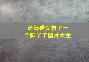 汤姆猫受伤了一个脚丫子图片大全