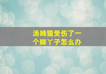 汤姆猫受伤了一个脚丫子怎么办