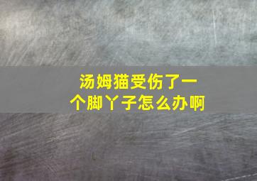 汤姆猫受伤了一个脚丫子怎么办啊