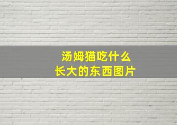 汤姆猫吃什么长大的东西图片